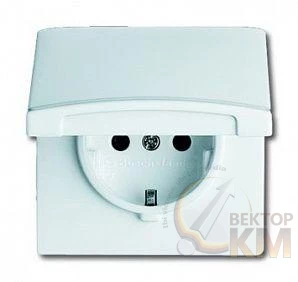 Розетка 1-м СП Allwetter44 20 EUGK-32-101 16А IP44 250В Schuko с крышкой уплотнит. кольцо сл. кость ABB 2CKA002064A0287