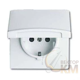 Розетка 1-м СП Allwetter44 20 EUGKB-34-101 16А IP44 250В Schuko защ. шторки с крышкой уплотнит. кольцо альп. бел. ABB 2CKA002064A0294