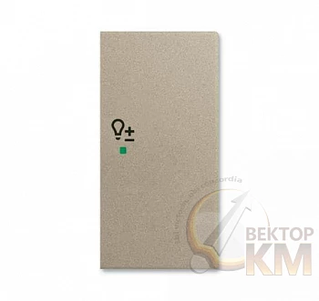 Клавиша двойная правая SRD-2-R-93 free@home светорегулятор Basic 55 шампань ABB 2CKA006220A0662