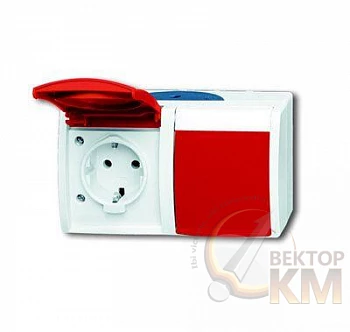 Розетка 2-м ОП Ocean 16А IP44 250В Schuko с красн. крышкой сер./син./зел. ABB 2CKA002084A0700