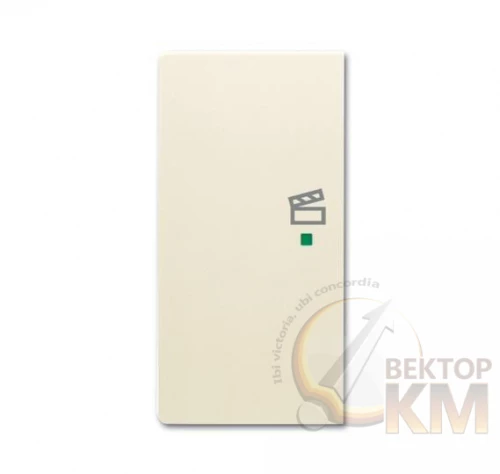 ABB  | Клавиша двойная левая free@home сцена; future сл. кость  2CKA006220A0524