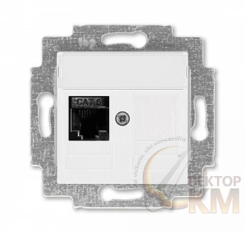 Розетка информационная Levit RJ45 кат. 6 и заглушка бел. ABB 2CHH296117A6003