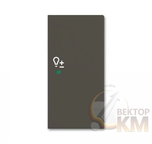 ABB  | Клавиша двойная правая SRD-2-R-95 free@home светорегулятор Basic 55 chateau-черн.  2CKA006220A0696