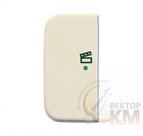 ABB  | Клавиша двойная лев. сцена сл. кость  2CKA006220A0198