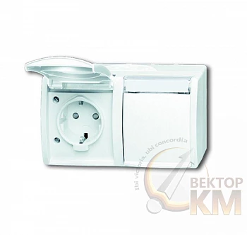 Розетка 2-м ОП Ocean 16А IP44 горизонт. 250В Schuko защ. шторки альп. бел. ABB 2CKA002084A0723