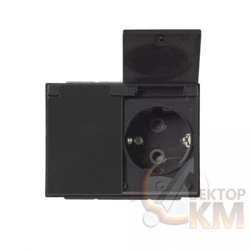 ABB  | Розетка 2-м СП Impressivo 16А IP21/44 230В Double Schuko защ. крышка антрацит  2TKA00003031