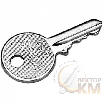 Ключ Ronis 455 для переключателя ABB SK616021-71