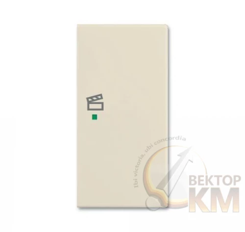 ABB  | Клавиша двойная правая SRS-2-R-92 free@home сцена Basic 55 сл. кость  2CKA006220A0647