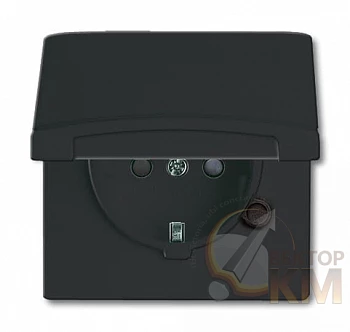 Розетка 1-м СП Allwetter44 20 EUGKB-35-101 16А IP44 250В Schuko защ. шторки с крышкой уплотнит. кольцо черн./антрацит ABB 2CKA002064A0295