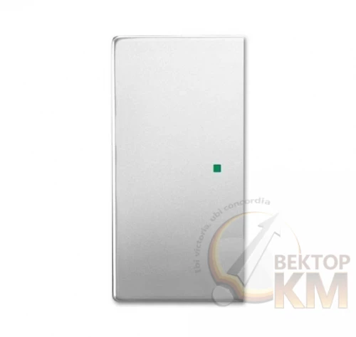 ABB  | Клавиша двойная free@home future сталь  2CKA006220A0538