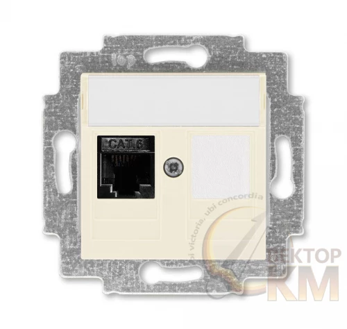 ABB  | Розетка информационная Levit RJ45 кат. 6 и заглушка сл. кость  2CHH296117A6017