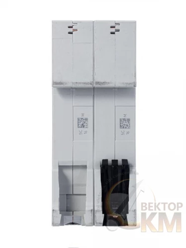 ABB  | Выключатель автоматический модульный 2п C 50А 4.5кА SH202L C50  2CDS242001R0504
