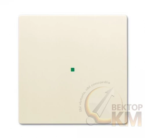 ABB  | Клавиша одинарная free@home future сл. кость  2CKA006220A0516