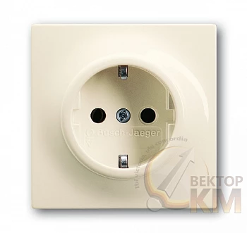 Розетка 1-м СП 1мод. Impuls 16А IP21 250В 2P+E защ. шторки сл. кость ABB 2CKA002013A5274