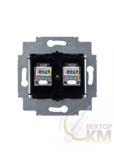 ABB  | Розетка информационная Levit двойная 2хRJ45 кат. 5e сталь  2CHH295118A6069