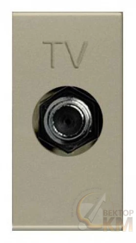 ABB  | Розетка TV 1мод. Zenit с накладкой шампань  2CLA215000N1901