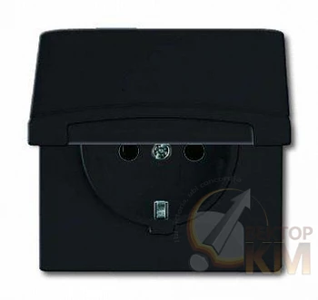 Розетка 1-м СП Allwetter44 20 EUGK-35-101 16А IP44 250В Schuko с крышкой уплотнит. кольцо черн./антрацит ABB 2CKA002064A0290