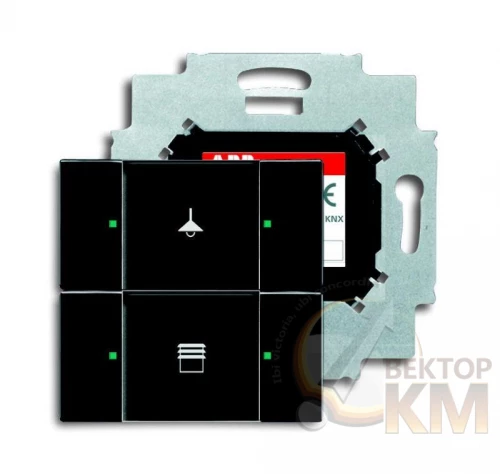 ABB  | Сенсор 2-кл. 6126/01-81-500 с коплером в комплекте антрацит  2CKA006116A0195