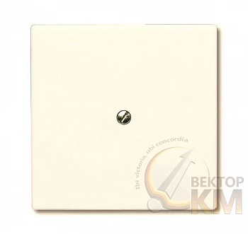 Заглушка с суппортом (IP44) Allwetter 44 сл. кость ABB 2CKA001710A2264