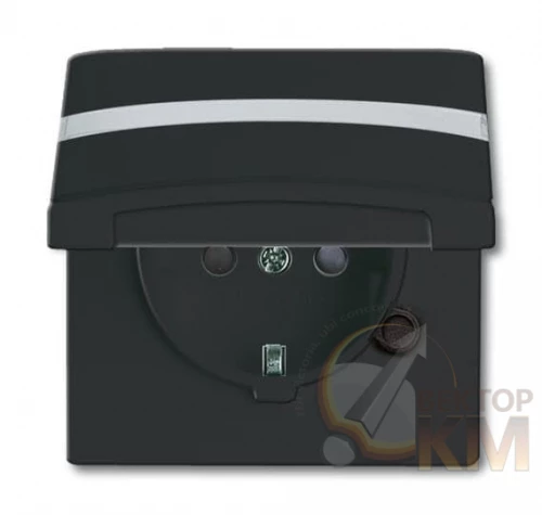 ABB  | Розетка 1-м СП Allwetter44 20 EUGKBN-35-101 16А IP44 250В Schuko защ. шторки с крышкой с полем для надписи уплотнит. кольцо черн./антрацит  2CKA002064A0302