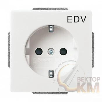 Розетка 1-м 1мод. Future/Axcent/Carat/Династия 16А 250В Schuko защ. шторки с маркир. "EDV" альп. бел. ABB 2CKA002013A5268