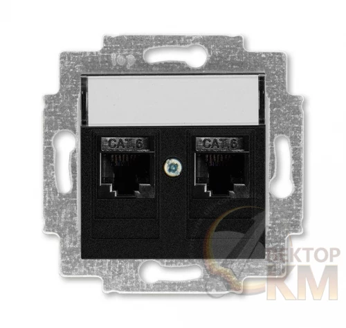 ABB  | Розетка информационная Levit двойная 2хRJ45 кат. 6 антрацит  2CHH296118A6063