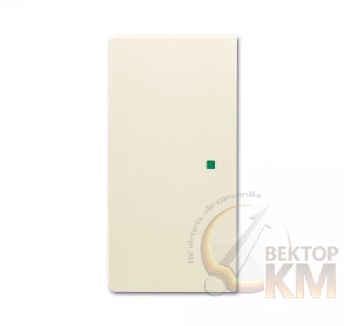ABB  | Клавиша двойная free@home future сл. кость  2CKA006220A0521