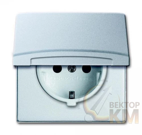ABB  | Розетка 1-м СП Allwetter44 20 EUGKB-33-101 16А IP44 250В Schuko защ. шторки с крышкой уплотнит. кольцо серебр./алюм.  2CKA002064A0293