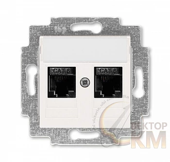 Розетка информационная RJ45 2-м Levit CAT.6 жемчуж. ABB 2CHH296118A6068