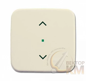 Клавиша одинарная жалюзи сл. кость ABB 2CKA006220A0186