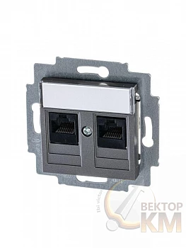 Розетка информационная Levit двойная 2хRJ45 кат. 5e сталь ABB 2CHH295118A6069