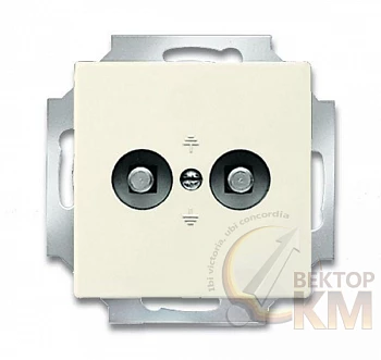 Розетка Solo/future 2мод. для выравнивания потенциалов сл. кость ABB 2CKA002495A0085