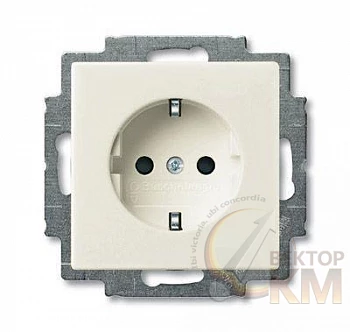 Розетка 1-м СП 1мод. Basic 55 16А IP20 250В Schuko винт. клеммы сл. кость ABB 2CKA002011A6154