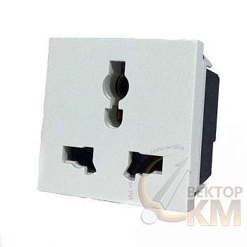 Механизм розетки 1-м СП 2мод. Zenit 15А IP20 127-230В универс. 2P+E с заземл. шампань ABB 2CLA223900N1901