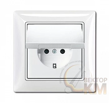 Розетка 1-м СП Basic 55 16А IP44 250В Schuko в сборе альп. бел. ABB 2CKA002018A1505