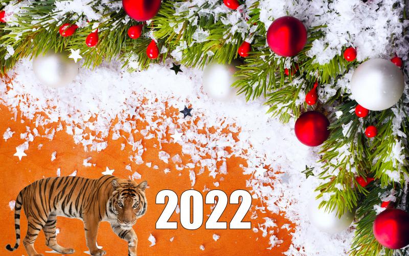 С Новым 2022 годом!