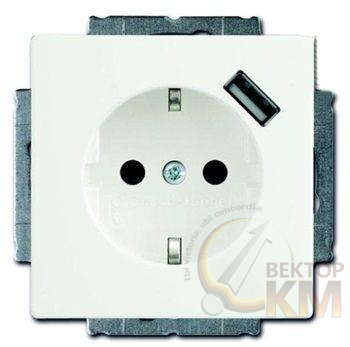Розетка 1-м СП Basic 55 20 EUCBUSB-94-500 16А IP20 250В Schuko защ. шторки с заряд. устройством USB 700мА безвинт. клеммы альп. бел. ABB 2CKA002011A6193