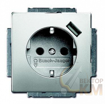 Розетка 1-м СП 20 EUCBUSB-866-500 16А IP20 250В Schuko защ. шторки с заряд. устройством USB 700мА безвинт. клеммы сталь ABB 2CKA002011A6184