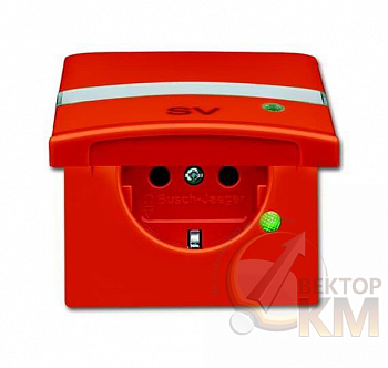 Розетка 1-м СП Allwetter44 20 EUGKBLN-13-101 16А IP44 250В Schuko с крышкой с контрольным СД уплотнит. кольцо оранж. ABB 2CKA002064A0304