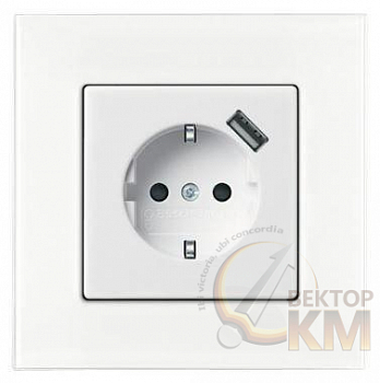 Розетка 1-м СП Basic 55 20 EUCBUSB-96-500 16А IP20 250В Schuko защ. шторки с заряд. устройством USB 700мА безвинт. клеммы chalet-бел. ABB 2CKA002011A6196