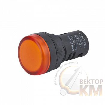 Индикатор ND16-22DS/2 оранж. AC/DC 24В (R) CHINT 593154