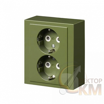 Розетка 2-м ОП Impressivo 16А IP20 230В Double Schuko зел. R6025 ABB 2TKA00002968
