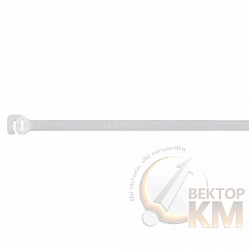 Хомут кабельный TYR505 4.7х190 P6.6 бесцвет. разъемный (уп.100шт) ABB 7TAG009540R0001