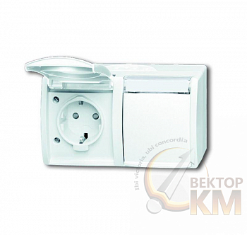 Розетка 2-м ОП Ocean 16А IP44 горизонт. 250В Schuko защ. шторки альп. бел. ABB 2CKA002084A0723