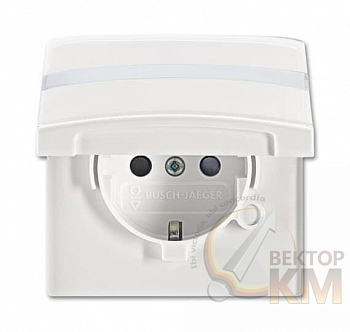 Розетка 1-м СП Allwetter44 20 EUGKBN-34-101 16А IP44 250В Schuko защ. шторки с крышкой с полем для надписи уплотнит. кольцо альп. бел. ABB 2CKA002064A0301