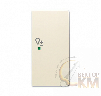 Клавиша двойная правая free@home светорегулятор; future сл. кость ABB 2CKA006220A0526