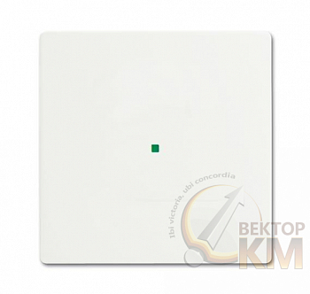 Клавиша одинарная free@home future бел. бархат ABB 2CKA006220A0601