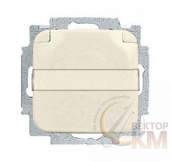 Розетка 1-м СП 1мод. Busch-Duro 2000 SI 16А IP21 250В Schuko с крышкой с полем для надписи сл. кость ABB 2CKA002018A0604