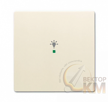 Клавиша одинарная free@home освещение; future сл. кость ABB 2CKA006220A0517