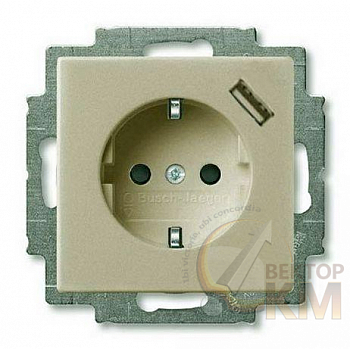 Розетка 1-м СП Basic 55 20 EUCBUSB-93-500 16А IP20 250В Schuko защ. шторки с заряд. устройством USB 700мА безвинт. клеммы шампань ABB 2CKA002011A6194
